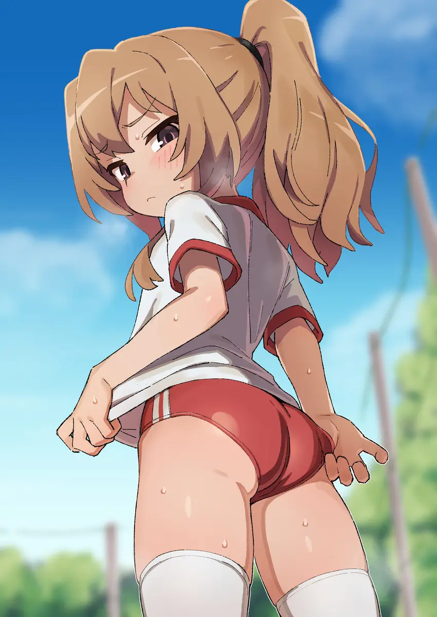Wagashi taiga toradora ecchi